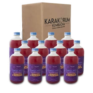 Kombucha Jamaica y Naranja
