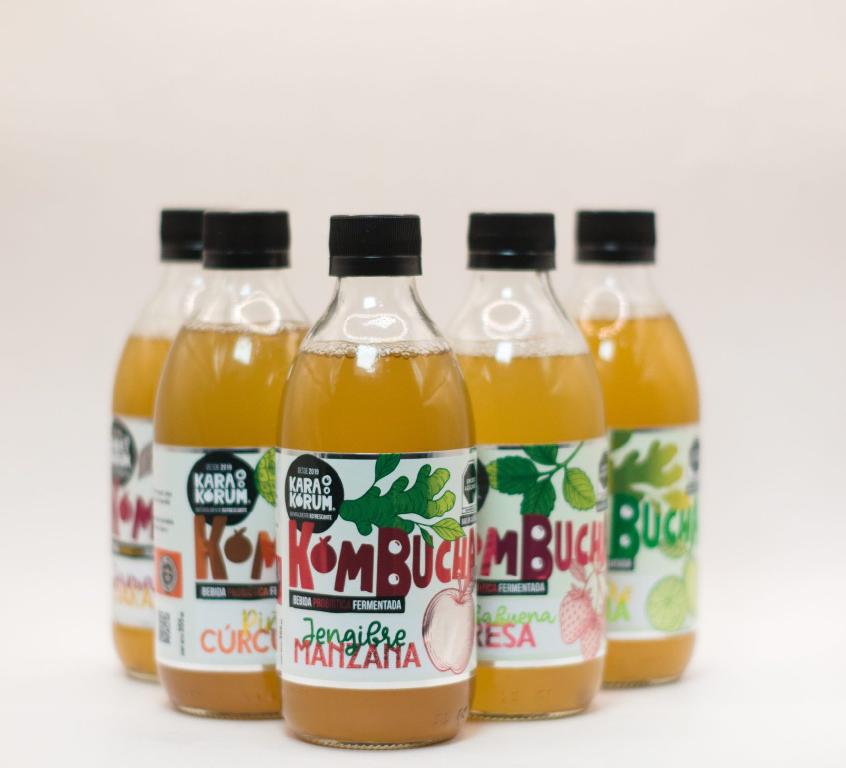 Kombucha Sabores Surtidos 12 Pack 1 IMG 9630 scaled e1774563827147