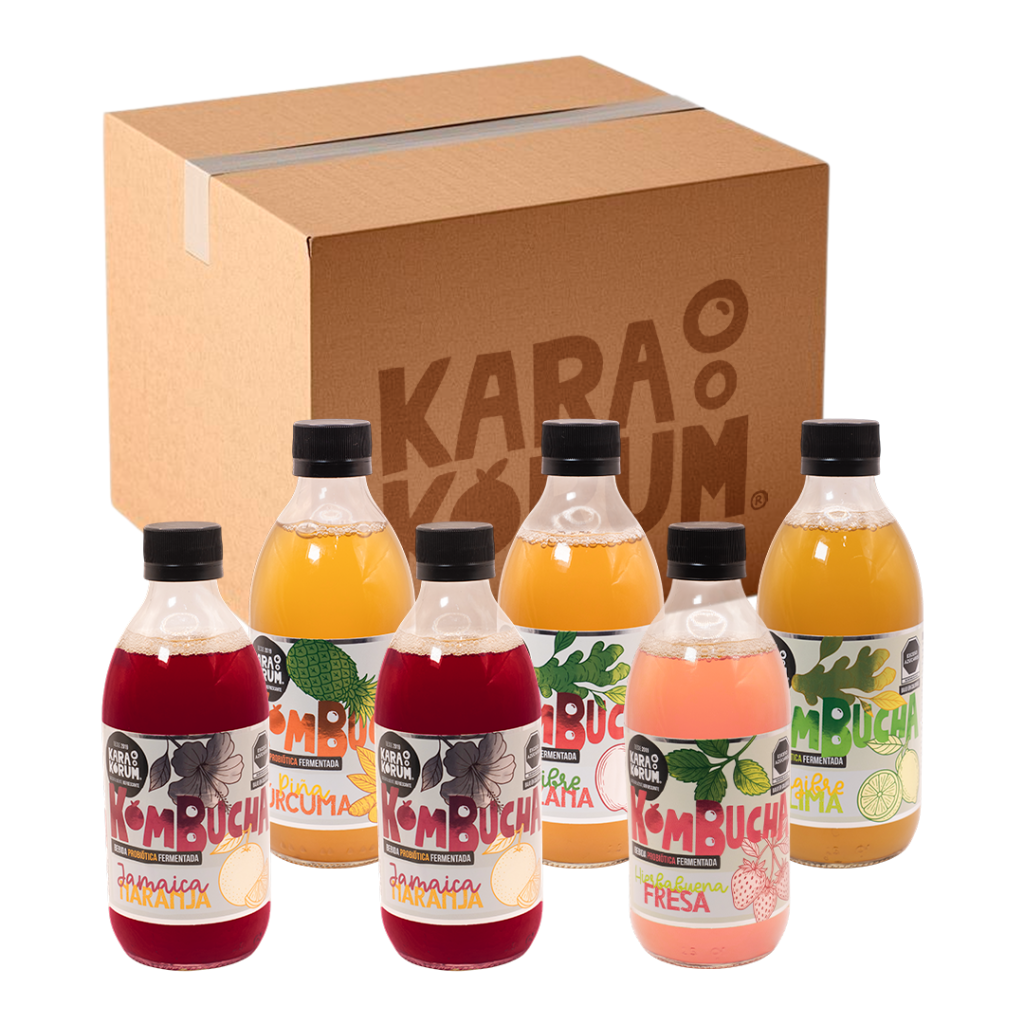 Kombucha Sabores Surtidos 12 Pack