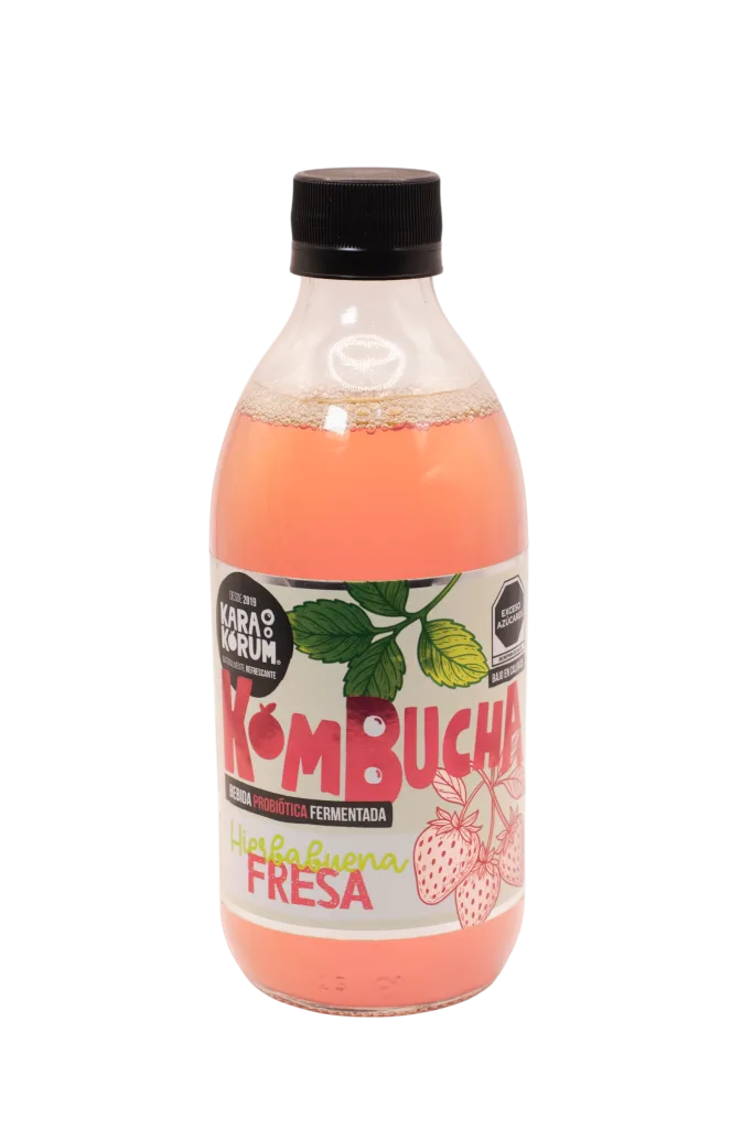 Kombucha Jamaica y Naranja