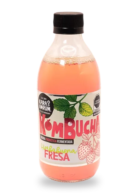 Karakorum Kombucha | La kombucha de La Laguna 17 Botella de Karakorum Kombucha sabor Hierbabuena Fresa, 355 ml