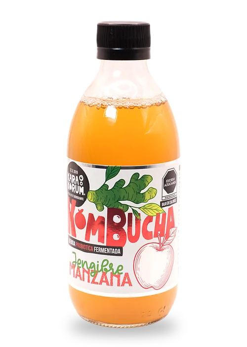 Karakorum Kombucha | La kombucha de La Laguna 15 Botella de Karakorum Kombucha sabor Jengibre Manzana, 355 ml