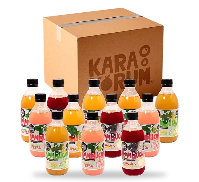 Caja de 12 botellas de Karakorum Kombucha con sabores combinados