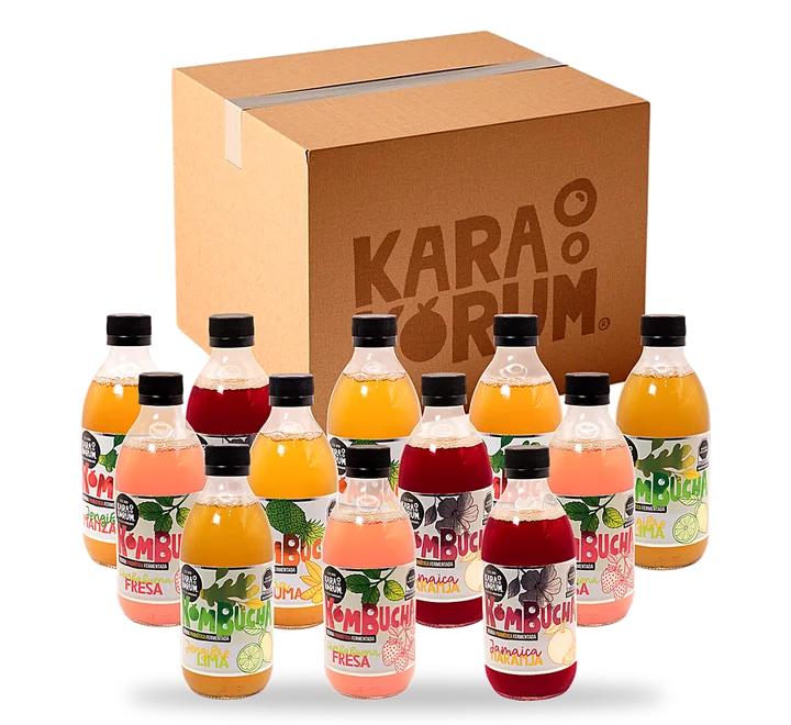 Karakorum Kombucha | La kombucha de La Laguna 19 Caja de 12 botellas de Karakorum Kombucha con sabores combinados