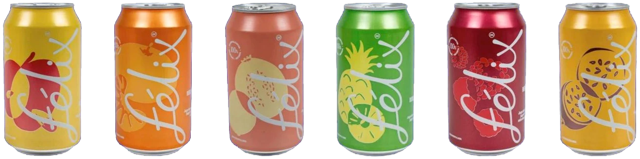 Kombucha para negocios 7 Latas de Félix schorle en sus cinco sabores