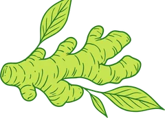Karakorum Kombucha | La kombucha de La Laguna 7 Jengibre