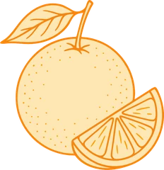 Karakorum Kombucha | La kombucha de La Laguna 6 Naranja