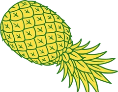 Karakorum Kombucha | La kombucha de La Laguna 9 Piña