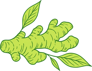 Karakorum Kombucha | La kombucha de La Laguna 9 ing2 jengibre