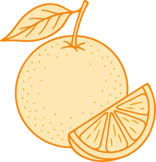 Karakorum Kombucha | La kombucha de La Laguna 7 ing2 naranja