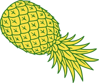 Karakorum Kombucha | La kombucha de La Laguna 12 ing2 pina